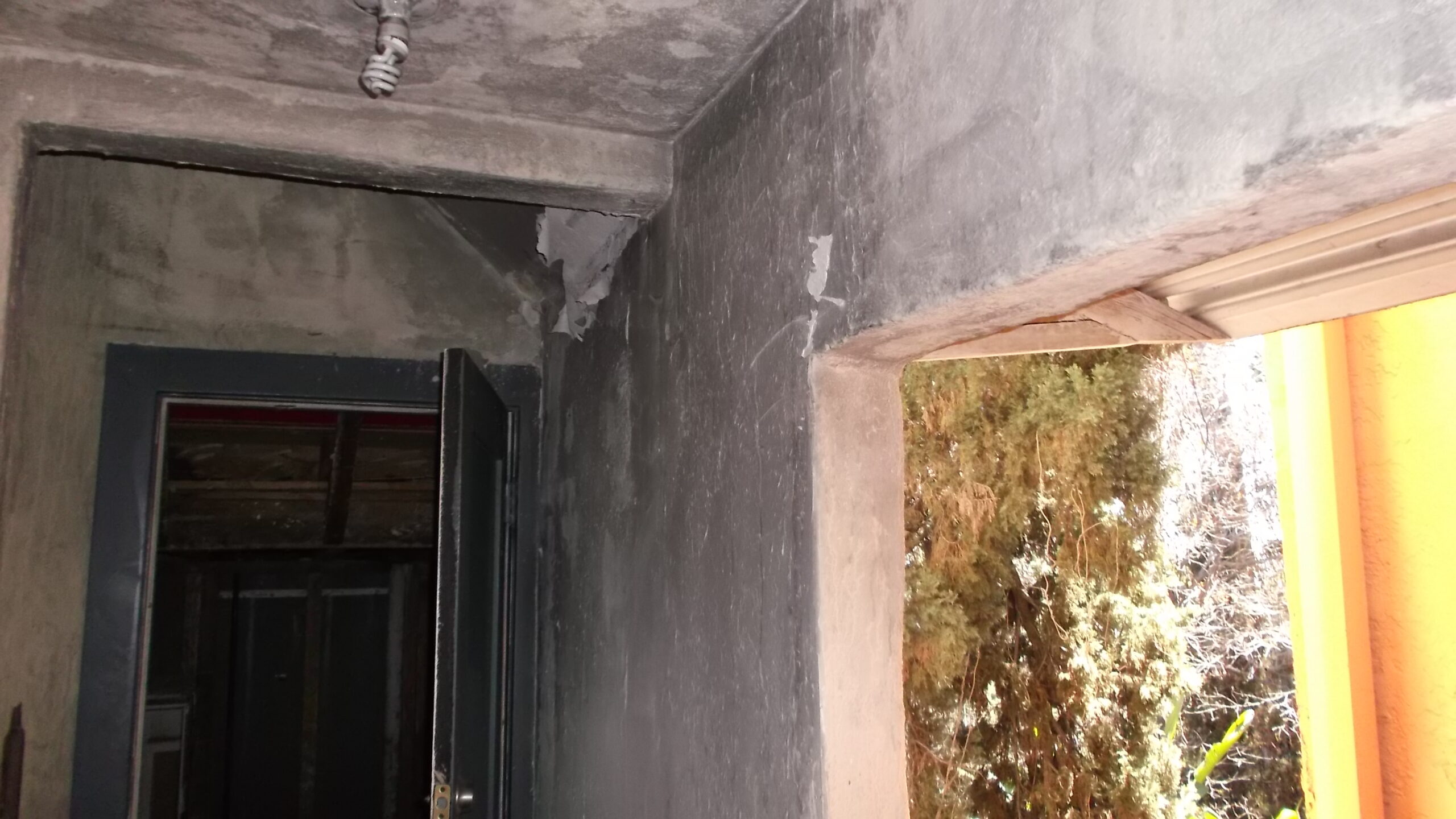 Mold Inspection vs Mold Testing
