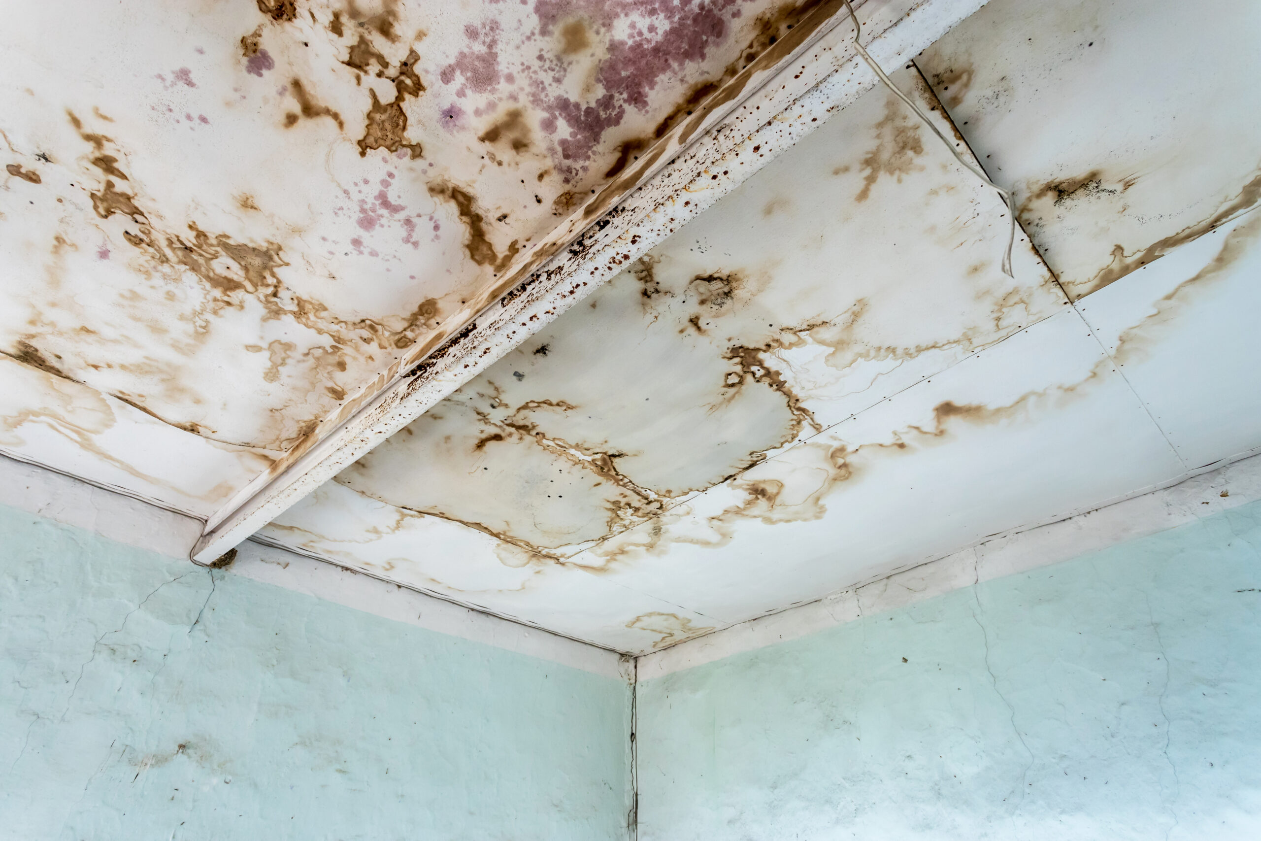 water damage mistakes