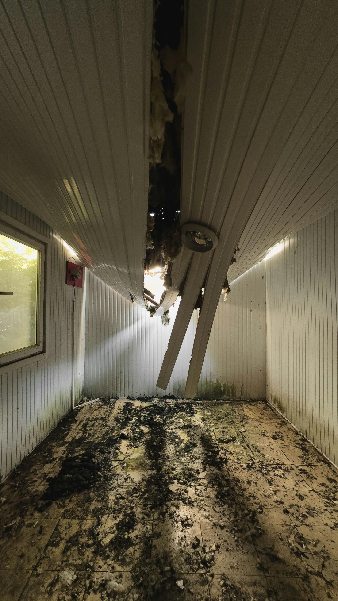 mold restoration