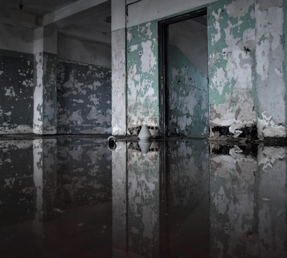 mold damage