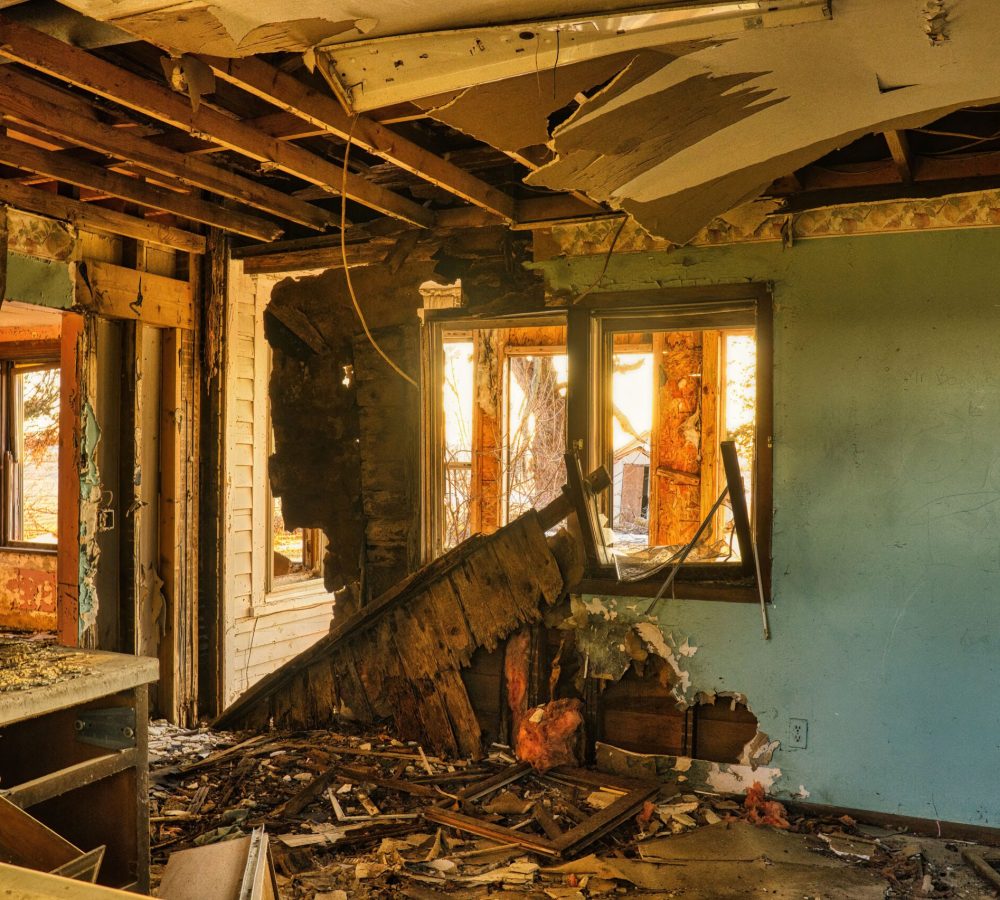 mold restoration